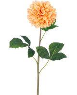 De Kunstbloem Dahlia Real Touch Perzik 73 cm heeft een enkele perzikoranje dahlia met veel bloemblaadjes op een lange groene steel en verschillende grote groene bladeren met textuur, tegen een effen witte achtergrond.