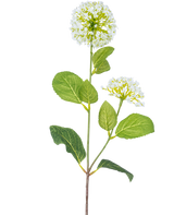 De Kunstbloem Sneeuwbal/Viburnum (70 cm) heeft twee trossen kleine witte bloemen en meerdere groene ovale bladeren op een steel, tegen een witte achtergrond.