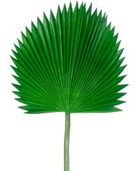 Kunstblad Washingtonia 105cm