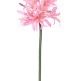 De Kunstbloem Nerine 70 cm roze heeft een hoge groene steel met daarop een tros tere, spinroze bloemen met lange bloemblaadjes en gele meeldraden, tegen een effen witte achtergrond.