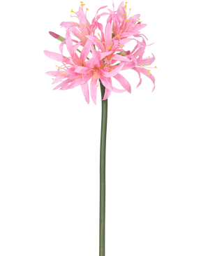 De Kunstbloem Nerine 70 cm roze heeft een hoge groene steel met daarop een tros tere, spinroze bloemen met lange bloemblaadjes en gele meeldraden, tegen een effen witte achtergrond.