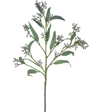 De Kunsttak Eucalyptus bes 78 cm grijs heeft een enkele groene tak met lange, smalle bladeren en trosjes kleine, grijsachtige knoppen, afgebeeld tegen een witte achtergrond.