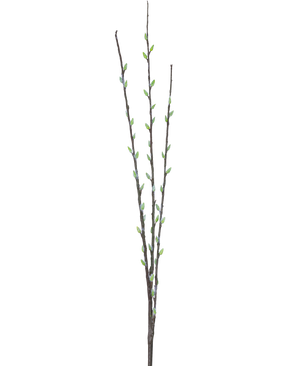 De Kunstbloem Salix wilg 70 cm heeft drie slanke bruine takken met kleine groene knoppen en lichtgrijze, pluizige katjes, gerangschikt langs de stengels tegen een effen witte achtergrond.