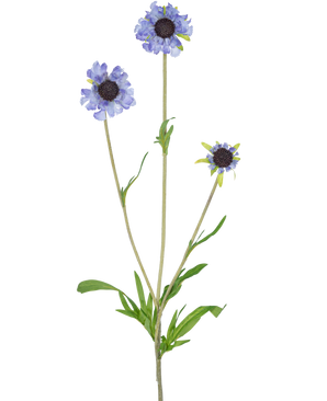 De Kunstbloem Scabiosa 63 cm blauw heeft een enkele groene stengel met drie takken, elk bekroond met een licht paarsblauwe, margrietachtige bloem en donkere, in het midden langwerpige groene bladeren, allemaal tegen een effen witte achtergrond.
