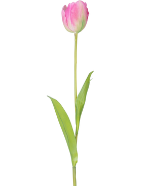 Een enkele Kunstbloem Franse Tulp 63 cm roze met een lange groene steel en twee groene bladeren, geïsoleerd op een witte achtergrond.
