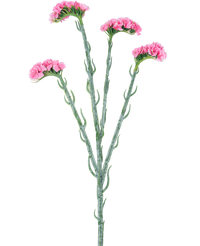 Kunsttak Statice 64 cm roze