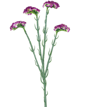 De Kunsttak Statice 64 cm donkerpaars heeft drie slanke groene stelen met meerdere takken, elk bedekt met een aantal kleine, ruche donkerpaarse bloemen, allemaal tegen een witte achtergrond.