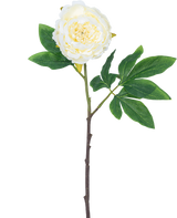 Kunstbloem Pioenroos 61 cm wit: een enkele witte pioenroos met gelaagde bloemblaadjes, groene bladeren en een lange bruine staal, geïsoleerd op witte achtergrond.