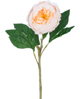 De Kunstpioen Real Touch Crème Wit 58cm heeft een enkele kunstpioenstengel met een grote, witte crèmekleurige bloem en groene bladeren, tegen een witte achtergrond.