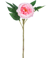 De Kunstpioen Real Touch Roze 58cm is een kunstroze pioenroos met gelaagde bloemblaadjes, een geel hart, groene bladeren en een lange bruine steel, afgebeeld tegen een effen witte achtergrond.