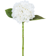 De Kunsthortensia "Annabelle" Real Touch Wit 55cm heeft een enkele witte hortensiabloem met een ronde tros bloemblaadjes, twee grote groene bladeren en een lange groene steel, tegen een effen witte achtergrond.