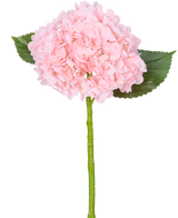 De Kunsthortensia "Annabelle" Real Touch Roze 55cm heeft een enkele roze hortensiabloem met bloemblaadjes, twee groene bladeren en een lange groene steel, tegen een witte achtergrond.
