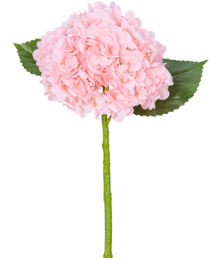 De Kunsthortensia "Annabelle" Real Touch Roze 55cm heeft een enkele roze hortensiabloem met bloemblaadjes, twee groene bladeren en een lange groene steel, tegen een witte achtergrond.