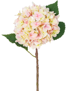 De Kunstbloem Hortensia Real Touch Roze 58 cm is een enkele kunsthortensiastengel met zachtroze bloemblaadjes en twee grote groene bladeren, perfect voor decoratie en gepresenteerd tegen een witte achtergrond.