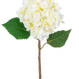De Kunstbloem Hortensia Real Touch Crème 58 cm heeft een enkele hortensiasteel met een grote tros licht crème bloemen en twee groene bladeren, geïsoleerd op een witte achtergrond.