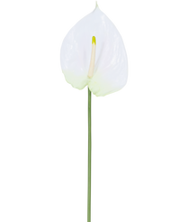 Kunstbloem Anthurium 68 cm wit