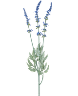 Een botanische illustratie van Kunsttak Lavendel 66 cm blauw toont drie lange, dunne stengels met clusters van kleine blauwe bloemen en langwerpige groene bladeren tegen een witte achtergrond.
