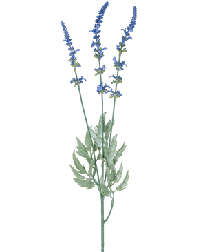 Een botanische illustratie van Kunsttak Lavendel 66 cm blauw toont drie lange, dunne stengels met clusters van kleine blauwe bloemen en langwerpige groene bladeren tegen een witte achtergrond.