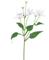 De Kunstbloem Madelief 76 cm wit heeft een enkele groene steel met enkele grote bladeren en vijf margrietachtige witte bloemen met een geel hart, tegen een effen witte achtergrond.