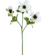 De Kunstbloem Anemoon vertakt 56 cm wit heeft een enkele groene steel met drie witte anemoonbloemen, elk met een donker hart en fijne zwarte meeldraden, plus groene bladeren, alles tegen een effen witte achtergrond.
