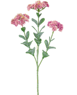 De Kunsttak Sedum 56 cm lichtroze heeft een enkele groene stengel met meerdere takken, elk versierd met trosjes kleine, lichtroze bloemen met afgeronde bloemblaadjes, tegen een witte achtergrond.