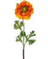 De Kunstbloem Ranonkel 51 cm oranje is een kunst oranje ranonkel bloem met gelaagde bloemblaadjes en groene blaadjes op een lange steel, perfect als decoratief accent.