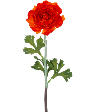De Kunstbloem Ranonkel 51 cm donker oranje heeft een levendige donker oranje kunst ranonkel bloem met gelaagde bloemblaadjes en groene, gelobde bladeren op een lange steel, tegen een effen witte achtergrond.