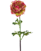 De Kunstbloem Ranonkel 51 cm roze/groen is een enkele kunst ranonkel met roze en groene bloemblaadjes, groene bladeren en een lange steel, tegen een witte achtergrond.
