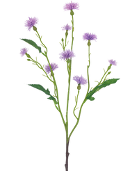 Kunstbloem Daisy Spray 54 cm lila