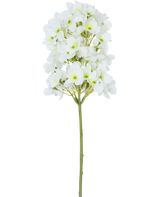 De Kunstbloem Sneeuwbal Real Touch Wit 58 cm heeft een enkele steel met trosjes kleine witte bloemen en lichtgroene hartjes, tegen een effen witte achtergrond.