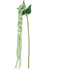 Kunstbloem Amaranthus 124 cm groen