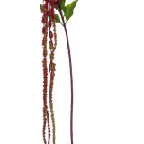 De Kunstbloem Amaranthus 122 cm wijnrood heeft een enkele kunst amarantstengel met groene bladeren en lange trossen kleine, wijnrode bloemen tegen een witte achtergrond.
