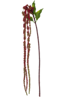 De Kunstbloem Amaranthus 122 cm wijnrood heeft een enkele kunst amarantstengel met groene bladeren en lange trossen kleine, wijnrode bloemen tegen een witte achtergrond.