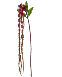 Kunstbloem Amaranthus 122 cm wijnrood