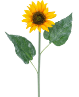 De Kunst zonnebloem 52 cm geel is een enkele kunstzonnebloem met heldergele bloemblaadjes, een donkerbruin hart en twee grote groene bladeren op een lange groene steel, geïsoleerd op een witte achtergrond.