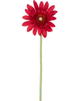 De Kunstbloem Gerbera 53 cm rood heeft een enkele rode gerbera met gelaagde bloemblaadjes en een geel hart op een lange groene steel, tegen een effen witte achtergrond.