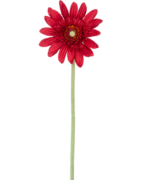 De Kunstbloem Gerbera 53 cm rood heeft een enkele rode gerbera met gelaagde bloemblaadjes en een geel hart op een lange groene steel, tegen een effen witte achtergrond.
