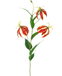 Kunstbloem Gloriosa Real Touch Rood 75 cm