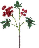 Het Kunsttak Ricinus 43 cm wijnrood heeft een tak van een ricinusolieplant met stekelige wijnrode zaaddozen en grote, groene, stervormige bladeren op een witte achtergrond.