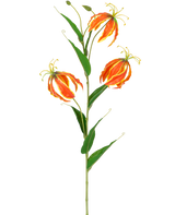 De Kunstbloem Gloriosa Real Touch Oranje 75 cm heeft een hoge groene steel met drie grote oranje en gele lelies en lange, slanke groene bladeren, prachtig weergegeven op een witte achtergrond.