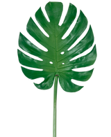 Het Kunstblad Monstera 88cm is een groot kunstgroen monsterablad met diepe splijten en perforaties, tegen een effen witte achtergrond.