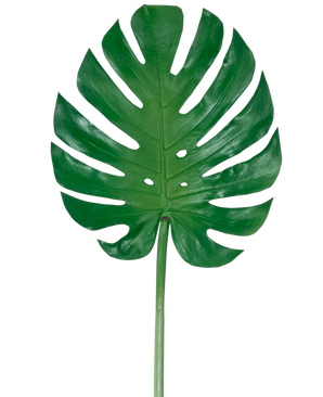 Het Kunstblad Monstera 88cm is een groot kunstgroen monsterablad met diepe splijten en perforaties, tegen een effen witte achtergrond.