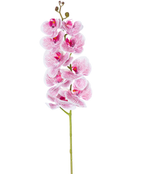 Kunst Orchidee Real Touch Deluxe 105 cm fuchsia/wit
