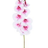 De Kunst Orchidee Real Touch Deluxe 105 cm roze/wit heeft een enkele roze kunst phalaenopsis steel met witte accenten, realistische zijden bloemen en knoppen, allemaal elegant weergegeven op een witte achtergrond.