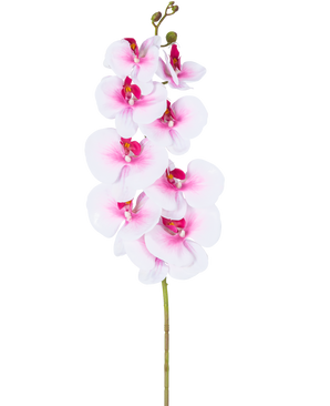 De Kunst Orchidee Real Touch Deluxe 105 cm roze/wit heeft een enkele roze kunst phalaenopsis steel met witte accenten, realistische zijden bloemen en knoppen, allemaal elegant weergegeven op een witte achtergrond.