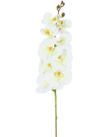 Een enkele staal van de Kunst Orchidee Real Touch Deluxe 105 cm wit/geel met meerdere bloemen en knoppen, prachtig weergegeven tegen een effen witte achtergrond.