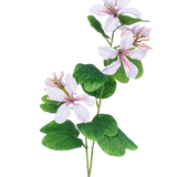 De Kunstbloem Rhododendron 85 cm licht roze heeft een slanke groene steel met trossen grote, witte bloemen met lichtroze hart en nerven, geaccentueerd door brede groene bladeren, tegen een witte achtergrond.