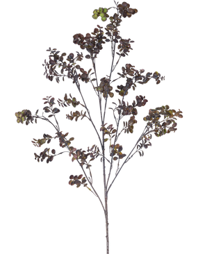 De Kunsttak Eucalyptus bes 110 cm bruin heeft een hoge tak met meerdere dunne stengels, kleine ronde bladeren en trosjes groenbruine bessen tegen een effen witte achtergrond.