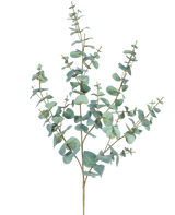 De Kunst Eucalyptus 120 cm heeft meerdere dunne stelen en ronde, blauwgroene bladeren tegen een effen witte achtergrond.