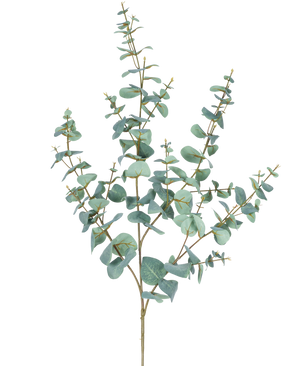De Kunst Eucalyptus 120 cm heeft meerdere dunne stelen en ronde, blauwgroene bladeren tegen een effen witte achtergrond.